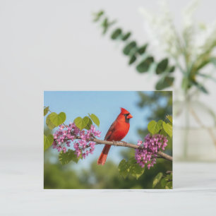 Cardinal on a Redbud Branch Postcard