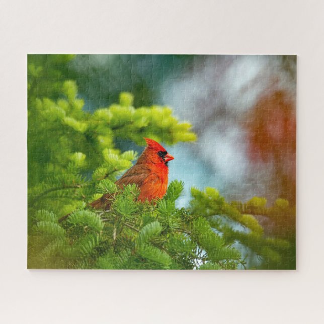 Cardinal On An Evergreen Branch Jigsaw Puzzle (Horizontal)