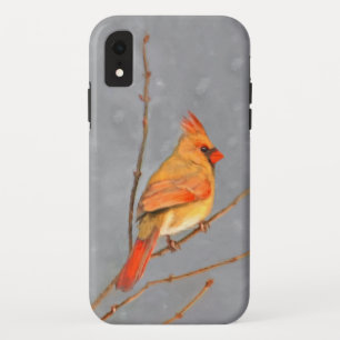 Cardinal on Branch Painting - Original Bird Art iPhone XR Case