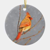 Cardinal on Branch Painting - Original Bird Art