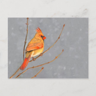 Cardinal on Branch Painting - Original Bird Art Postcard