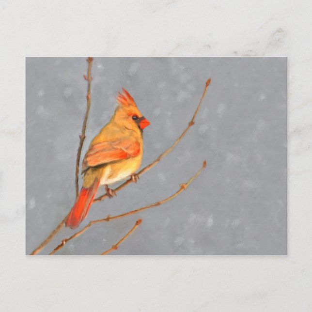 Cardinal on Branch Painting - Original Bird Art Postcard (Front)