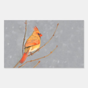 Cardinal on Branch Painting - Original Bird Art Sticker