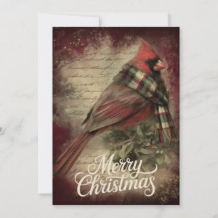 Cardinal on Holly Branch & Snowflake Script Holiday Card