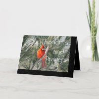 Cardinal on Pine Tree- customize any occasion