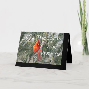 Cardinal on Pine Tree- customize any occasion Card