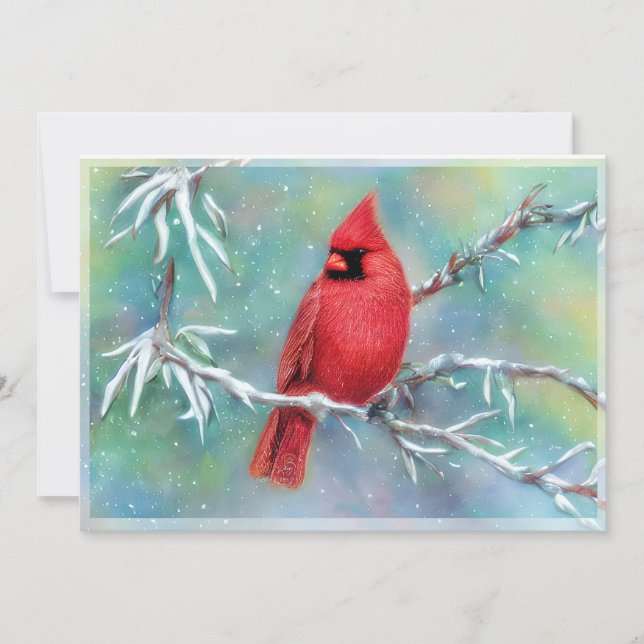 Cardinal on snowy branch budget Christmas Holiday Card (Front)
