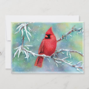 Cardinal on snowy branch budget Christmas Holiday Card