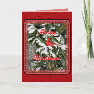 Cardinal on Snowy Magnolia- customize Holiday Card