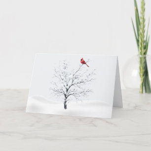 Cardinal on Snowy Tree Christmas Card