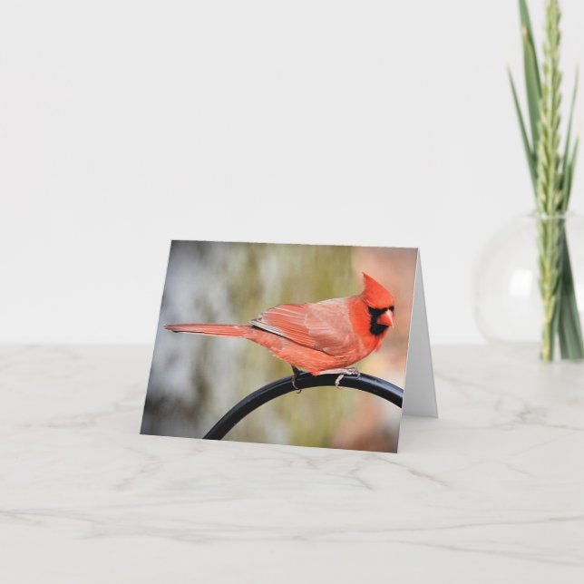 Cardinal on the shepherds hook blank inside card (Front)