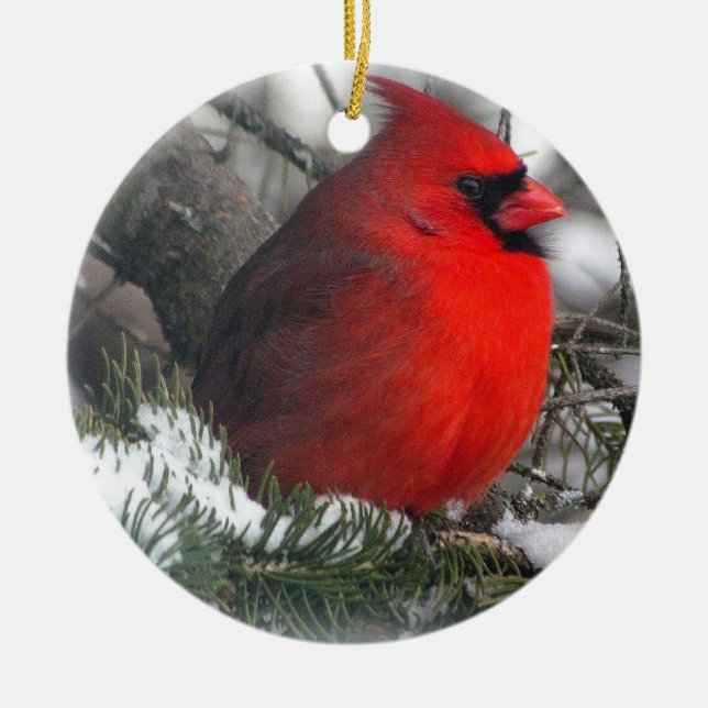 Cardinal Ornament (Front)