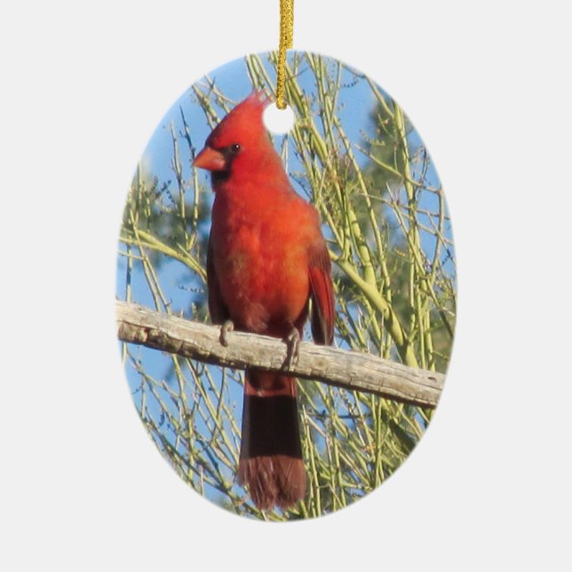 Cardinal Ornament (Front)