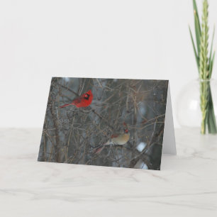 Cardinal Pair Card