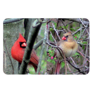 Cardinal Pair Flexble Magnet