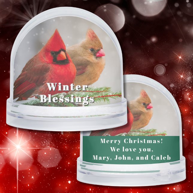 Cardinal Pair in Pine Tree Winter Greetings Custom Snowglobe (Two northern cardinals snuggle on a cold winter's day in this beautiful snow globe gift for anyone.)