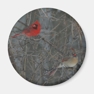 Cardinal Pair Magnet