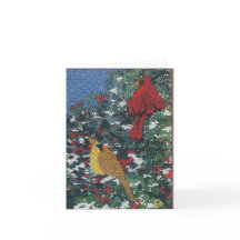 Cardinal Pair on a Pine Tree