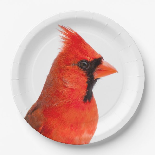 Cardinal Paper Plate (Front)