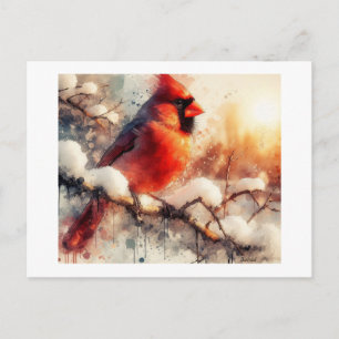 Cardinal Perched on Snowy Branch, Postcard