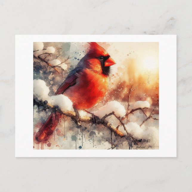 Cardinal Perched on Snowy Branch,  Postcard (Front)