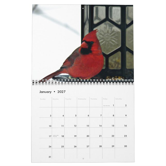Cardinal Photo 2015 Calendar (Jan 2027)