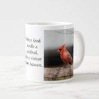 Cardinal Photos & Quote: Visitor from Heaven!