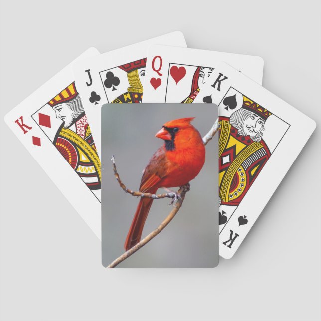 Cardinal Playing Cards (Back)