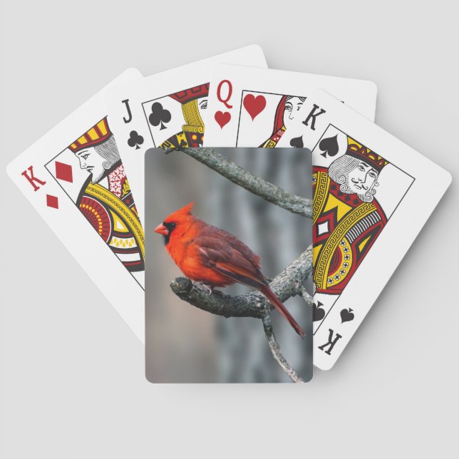 Cardinal Playing Cards (Back)