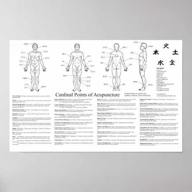 Cardinal Points of Acupuncture Poster (Front)