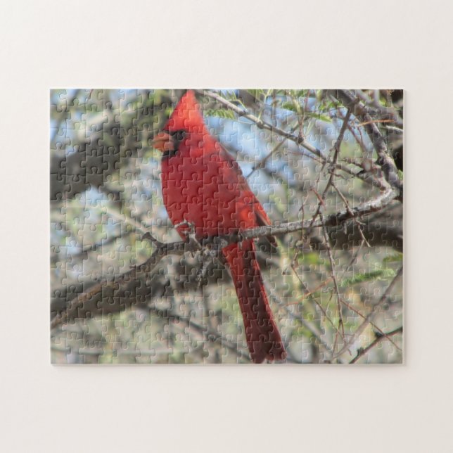 Cardinal Puzzle (Horizontal)