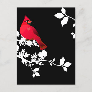 Cardinal Red Bird Black White Modern Greeting Postcard