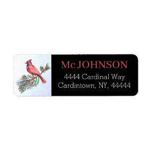 Cardinal Red Bird Branch Illustration Art Adresse