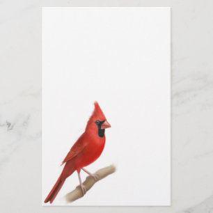 Cardinal Red Bird Male Stationery