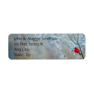 Cardinal Red Bird Winter Forest Scene