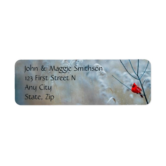 Cardinal Red Bird Winter Forest Scene (Front)