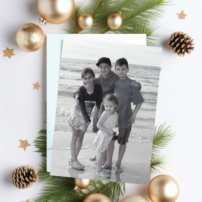 Cardinal rouge Carte photo à deux côtés (Christmas Season's Greetings red cardinal photo card.)