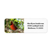Cardinal rouge dans l'arbre