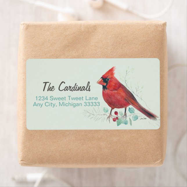 Cardinal rouge du Nord (En situation)