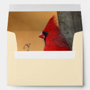 Cardinal rouge Enveloppe intérieure Adresse de ret