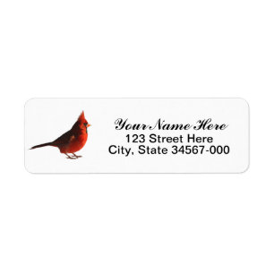 Cardinal rouge masculin