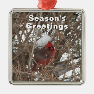 Cardinal rouge masculin en ornement d'hiver