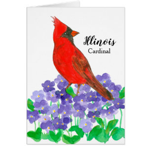 Cardinal rouge Oiseau de l'Illinois