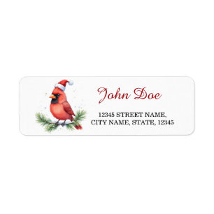 Cardinal Rouge sur Branche de Pin Noël Retour