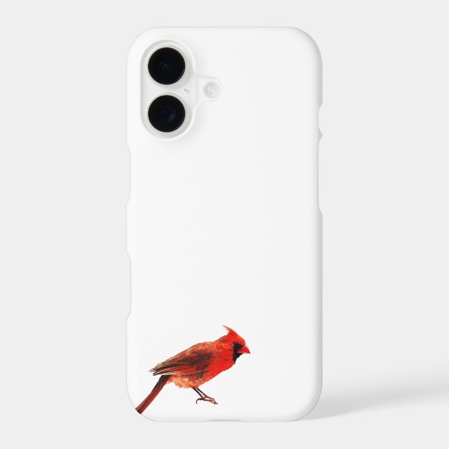 Cardinal(s) (Back)