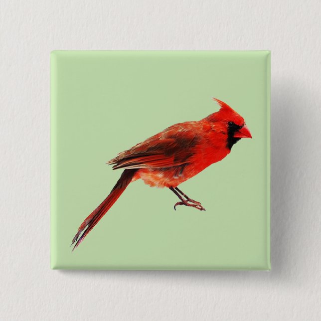 Cardinal(s) 2 Inch Square Button (Front)