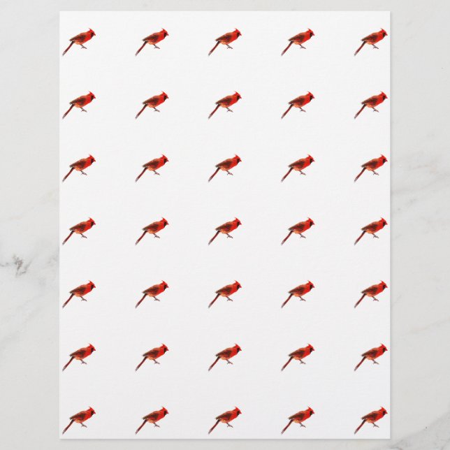 Cardinal(s) Flyer (Front)