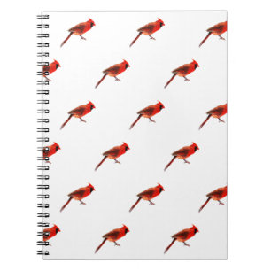 Cardinal(s) Notebook