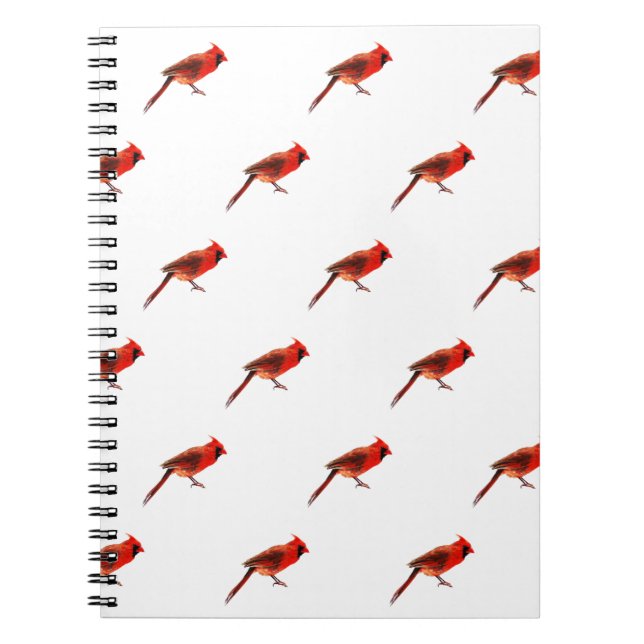Cardinal(s) Notebook (Front)