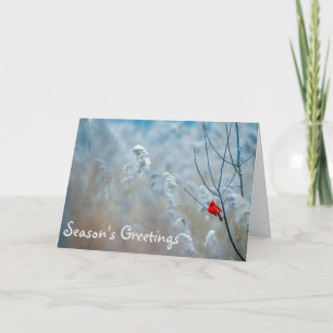 Cardinal Season's Greetings Holiday Christmas Card
